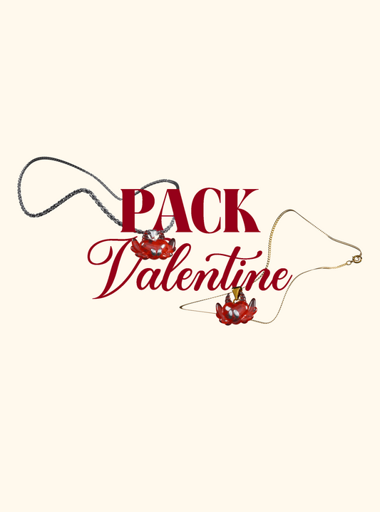 Pack VALENTINE - collier Or + Argent 925